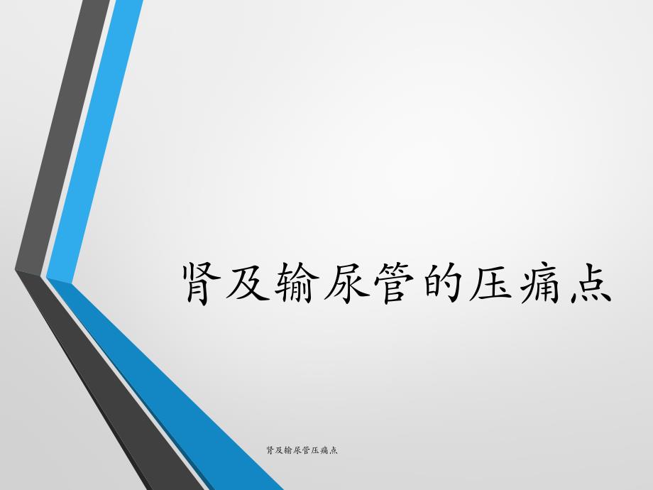 肾及输尿管压痛点（经典实用）_第1页