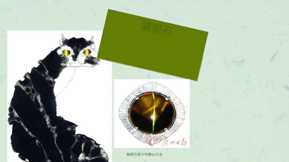 猫眼石简介和辨认方法课件_第1页