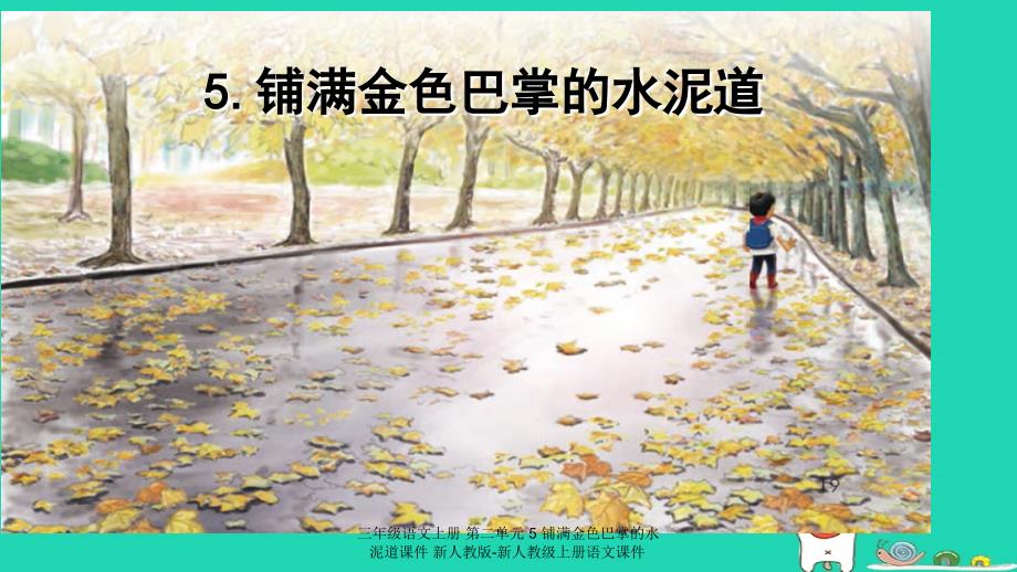【最新】三年级语文上册 第二单元 5 铺满金色巴掌的水泥道课件_第1页