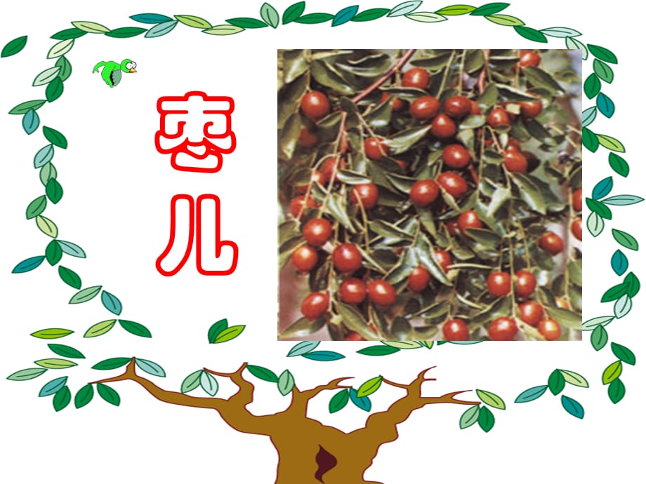 九级语文上册 《枣儿》教学课件 人教新课标（通用）_第1页