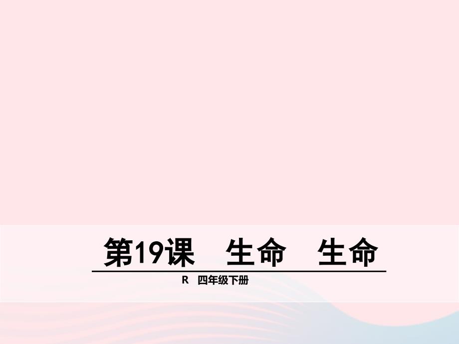 【最新】四年级语文下册 第五单元 第19课 生命 生命_第1页