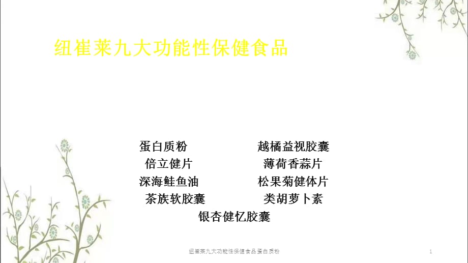 纽崔莱九大功能性保健食品蛋白质粉课件_第1页