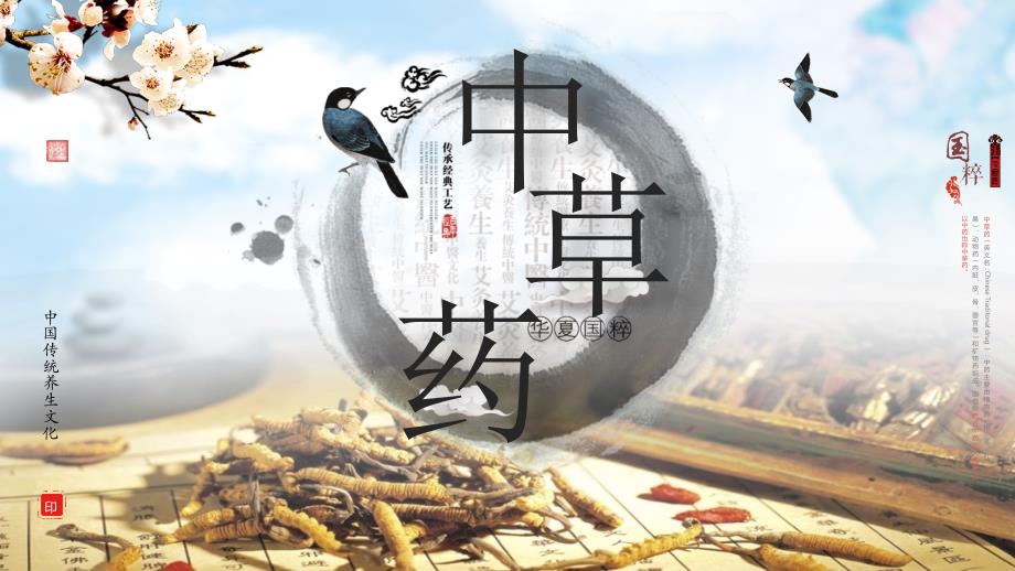 水墨中医视频开场中草药国粹竹简展开动态ppt模板_第1页