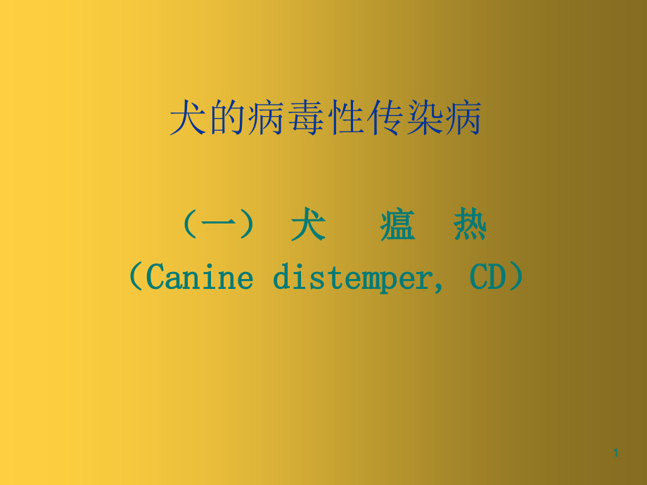 犬病毒性传染病_第1页