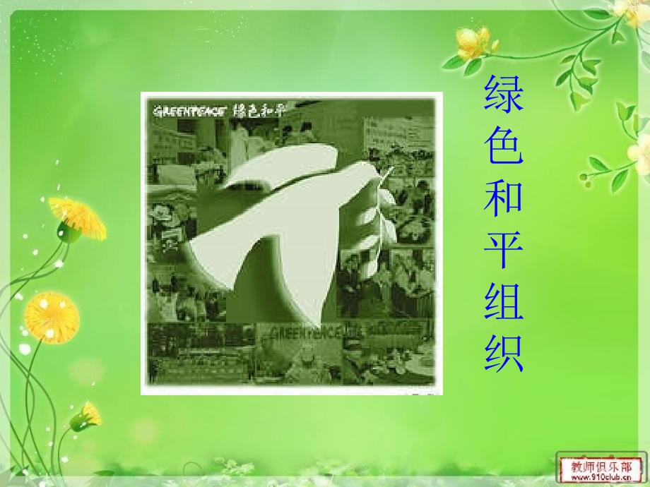 [精选]绿色和平组织_第1页