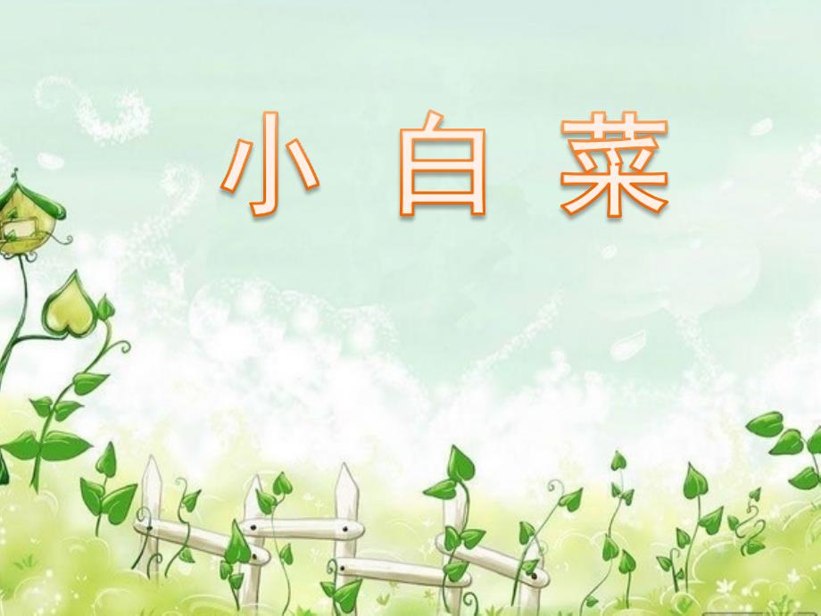 六年级下册音乐课件-第六单元《小白菜》1 _苏少版_第1页