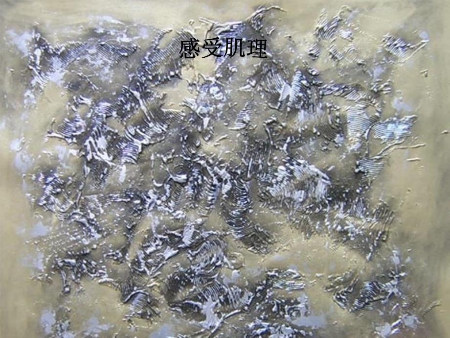 三年级下册美术课件-感受肌理_冀教版_第1页