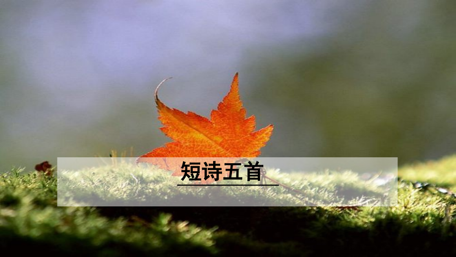 初中语文九年级下册优质课件第1单元3《短诗五首》课件_第1页