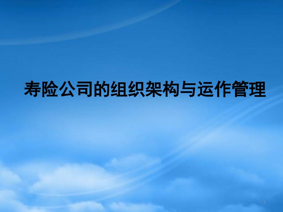 [精选]某公司组织架构与运作管理_第1页