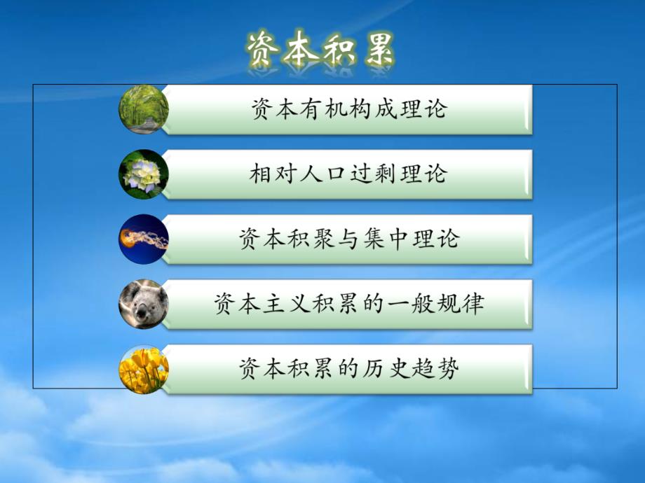 [精选]现代企业资本积累概述_第1页
