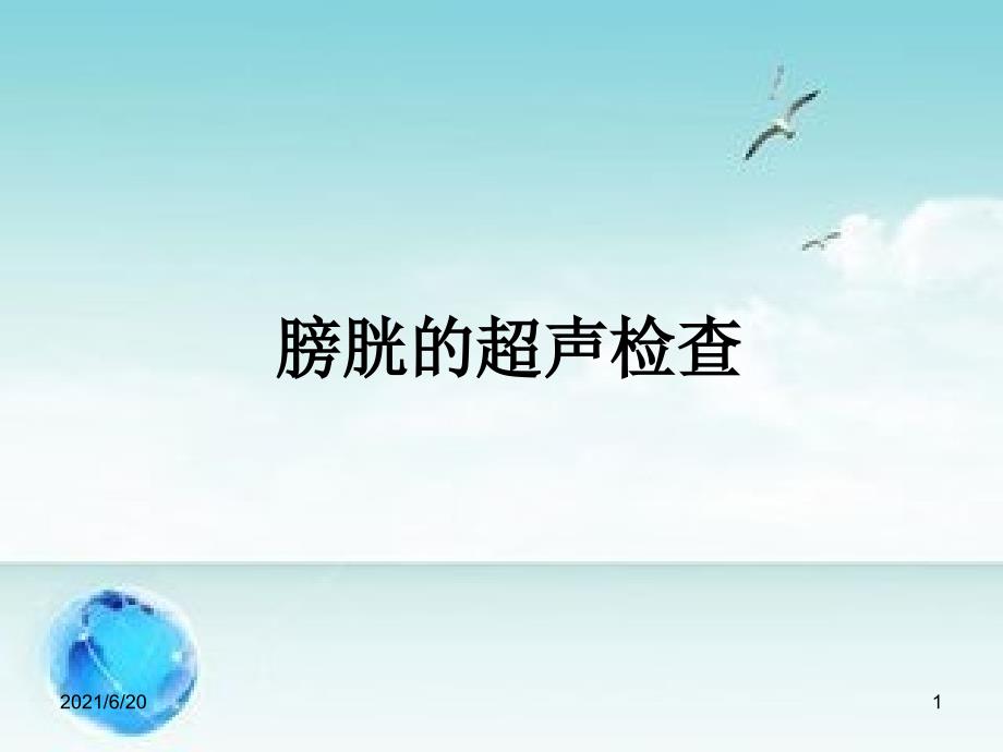 膀胱的超声检查_第1页