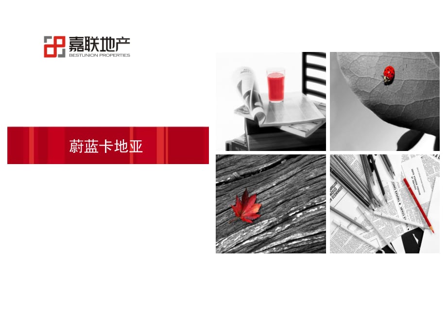 蔚蓝卡地亚案例分析课件_第1页