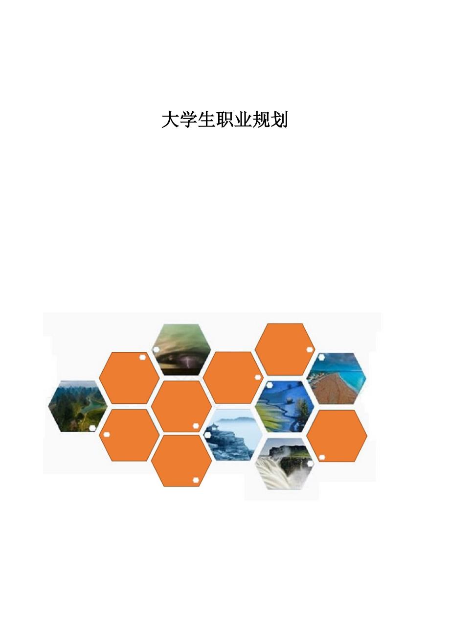 精编-大学生职业规划_6_第1页