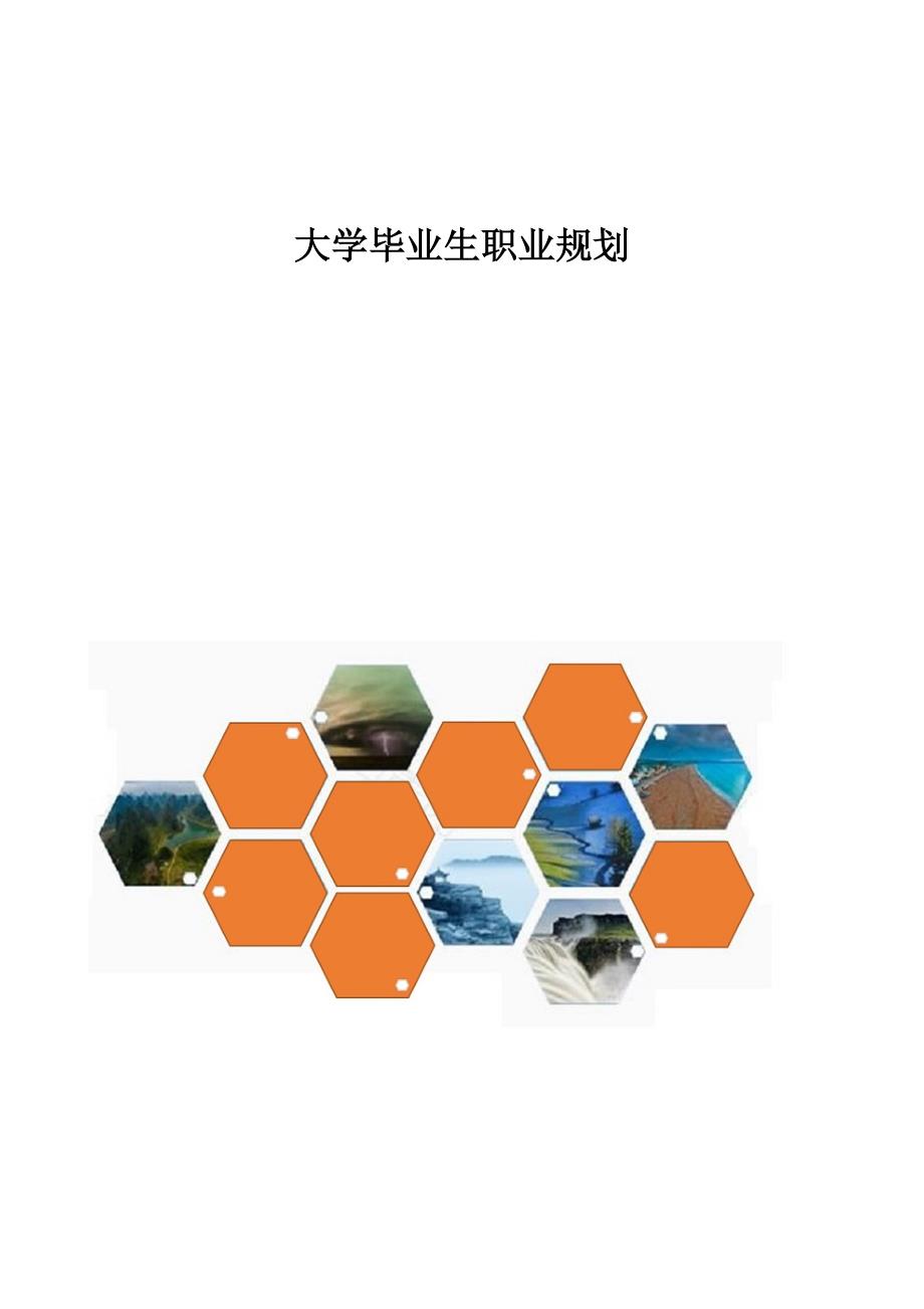 精编-大学毕业生职业规划_第1页