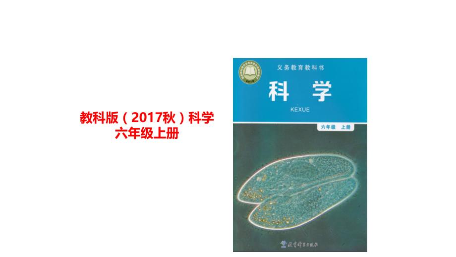 教科版科学六上 怎样放得更大 课件_第1页