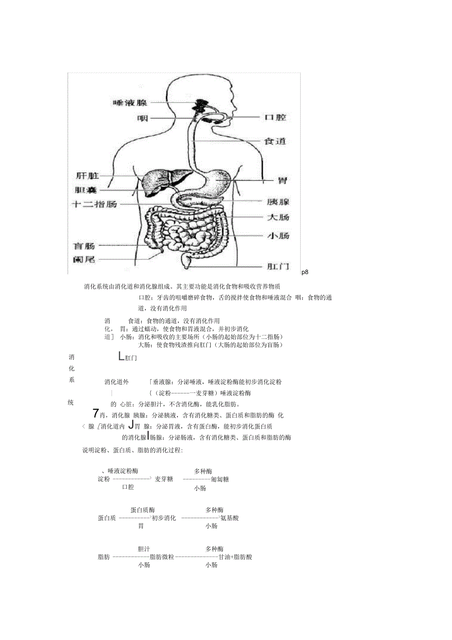 七年级下册生物图41801_第1页