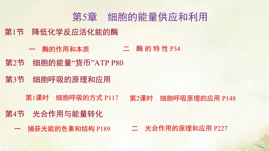 新教材人教版高中生物必修1分子与细胞第5章细胞的能量供应和利用 习题课件（精选配套习题含解析）_第1页