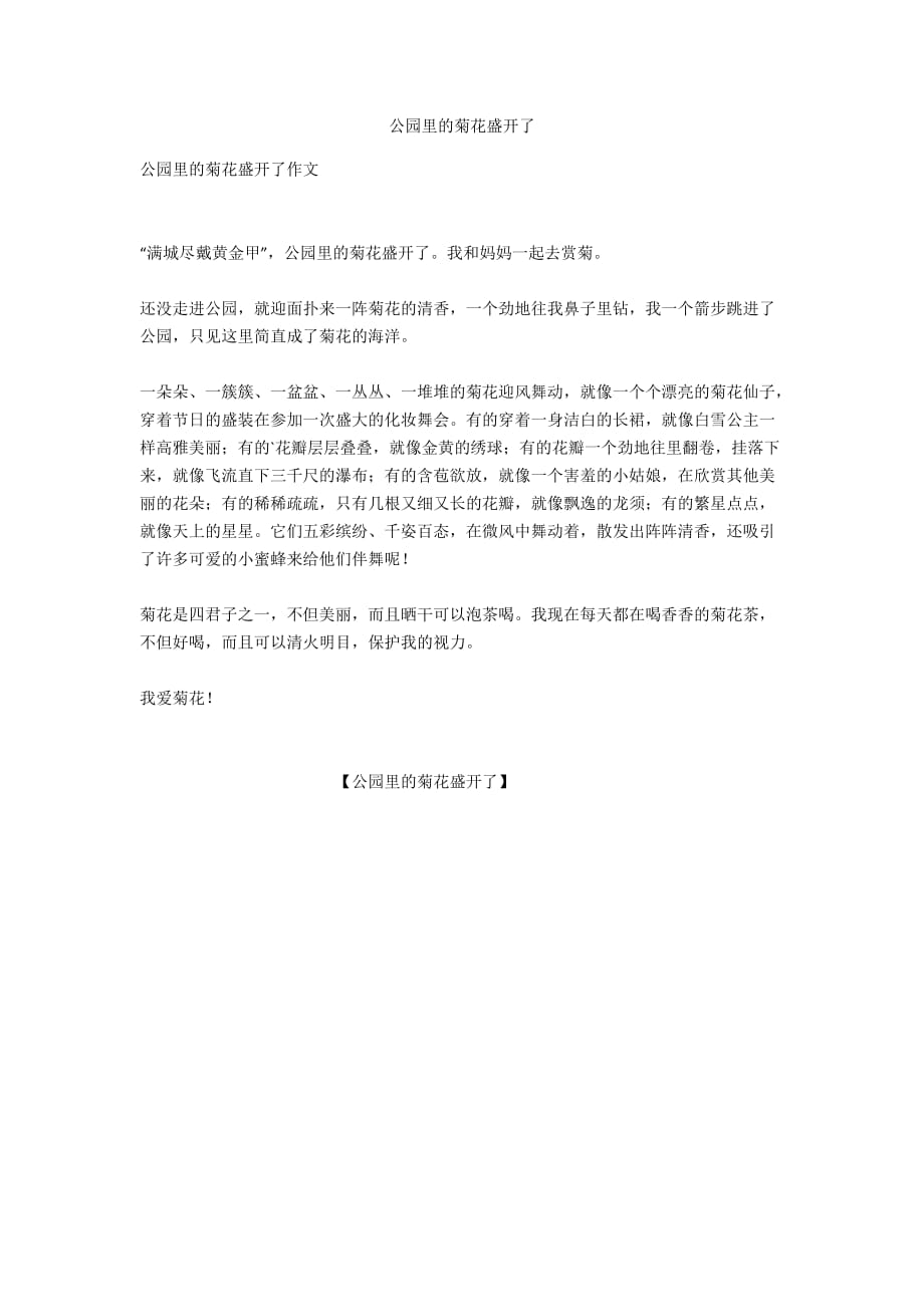 公园里的菊花盛开了_第1页