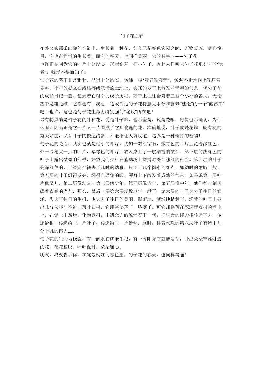 勺子花之春_第1页