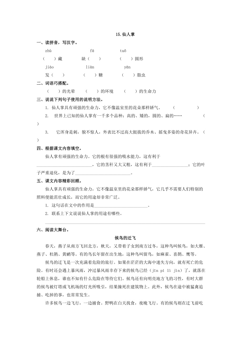 15.仙人掌练习题及答案【西师大版】_第1页
