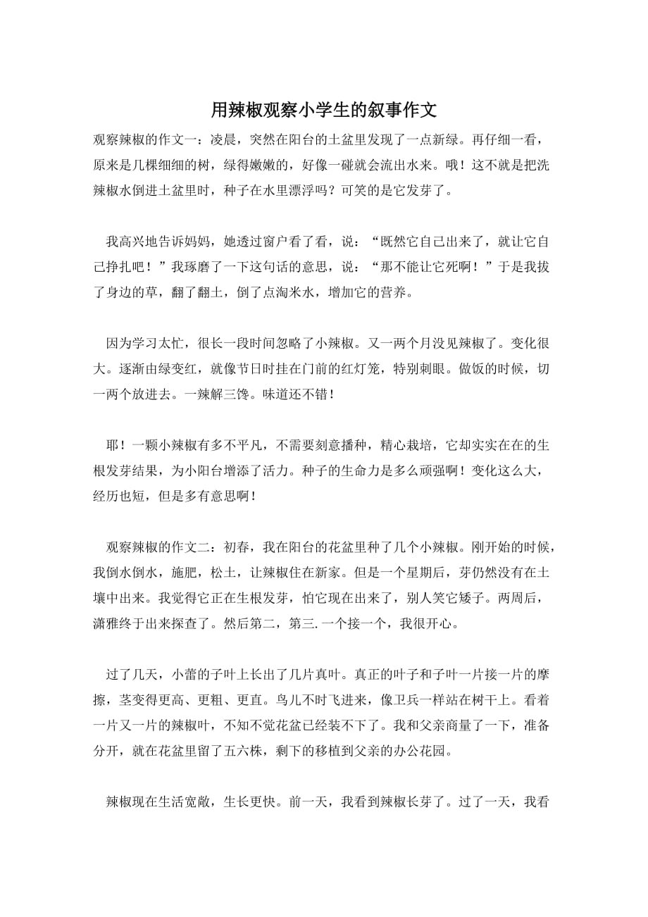 用辣椒观察小学生的叙事作文_第1页