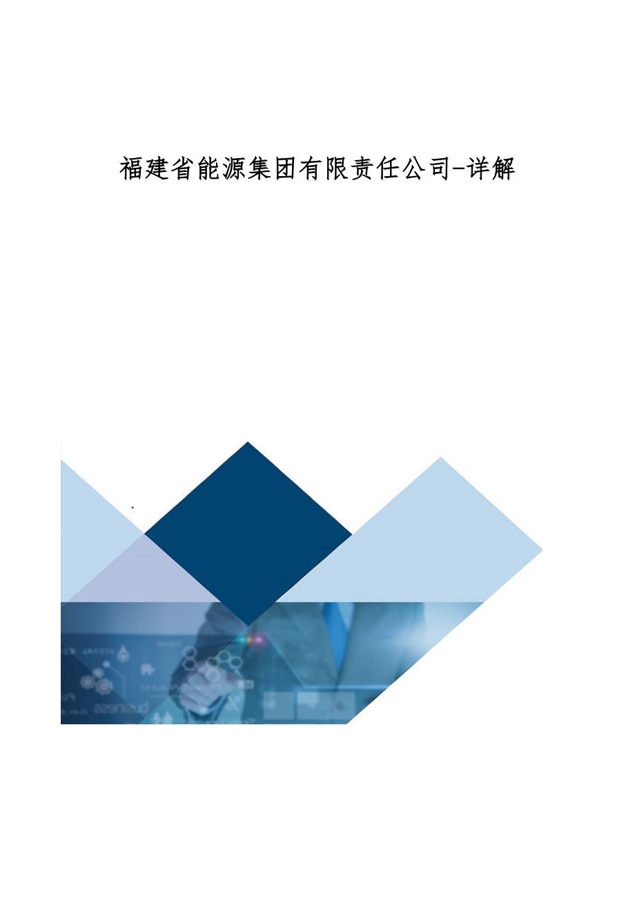 福建省能源集团有限责任公司-详解_第1页