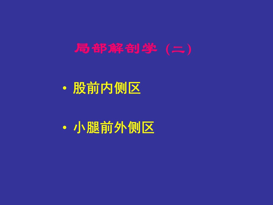 局部解剖学：3-腿前_第1页