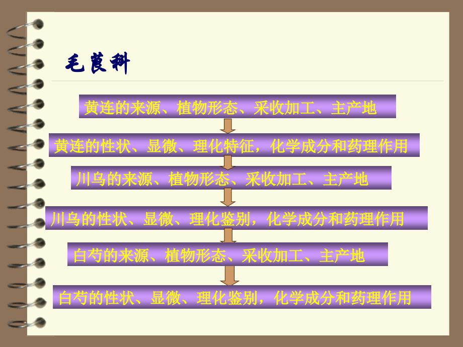 药用植物学与生药学：毛茛科_第1页