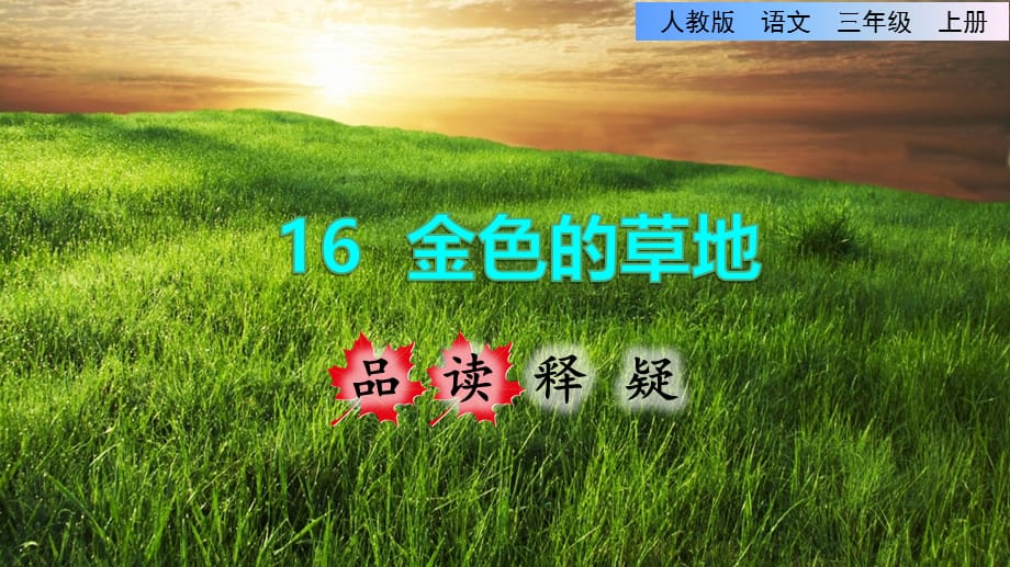金色的草地品读释疑课件_第1页