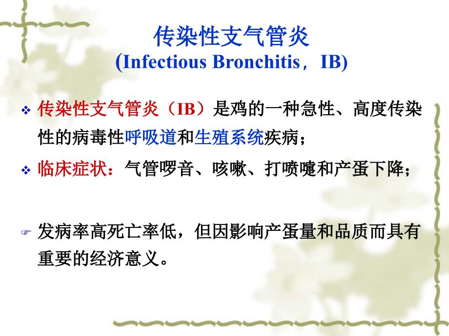 动物传染病学：传染性支气管炎_第1页