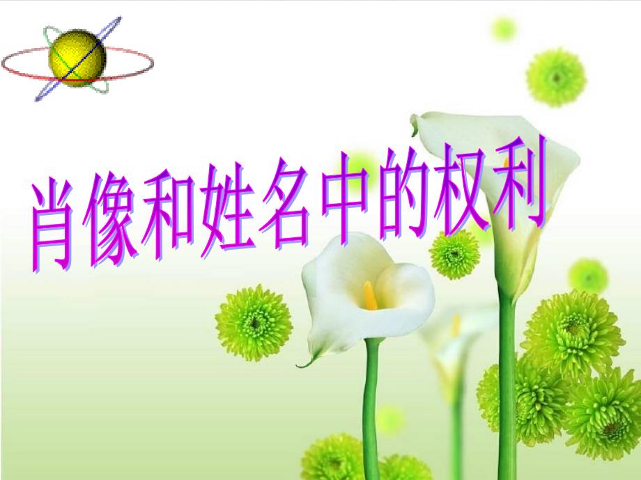 八年级政治下册 肖像和姓名权利 ppt_第1页