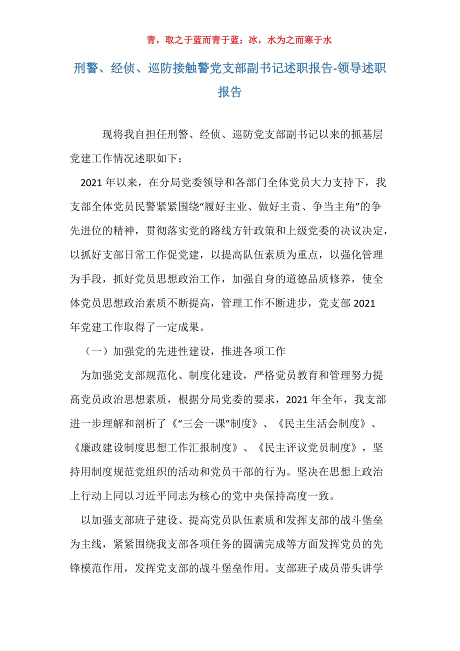 刑警、经侦、巡防接触警党支部副书记述职报告-领导述职报告_第1页