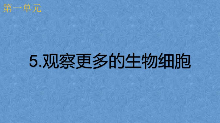 教科版 六年级科学上册 微小世界观察更多的生物细胞_第1页