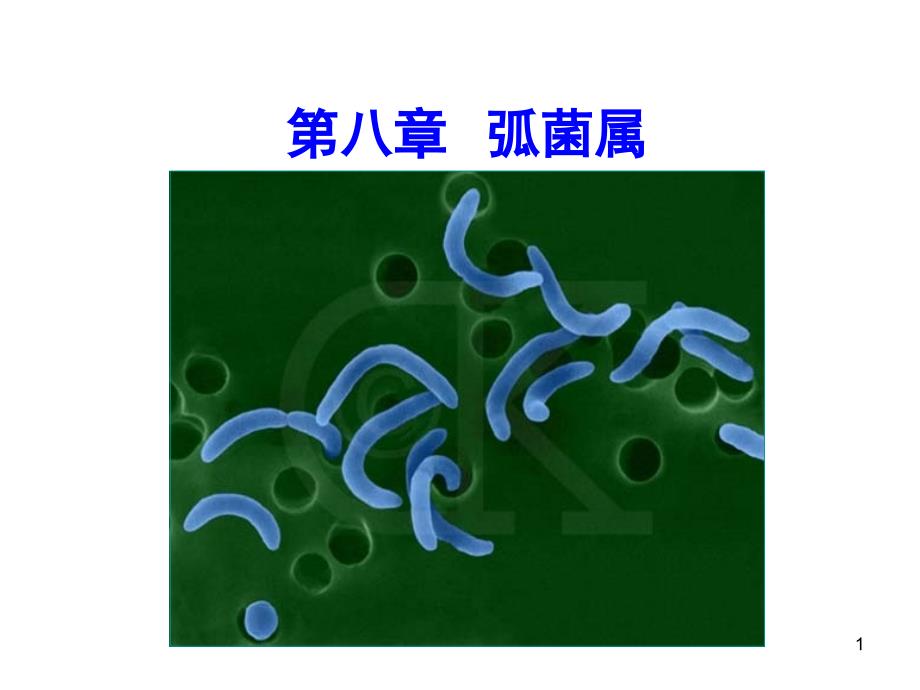 微生物课件（老师版） 第8章 弧菌属_第1页