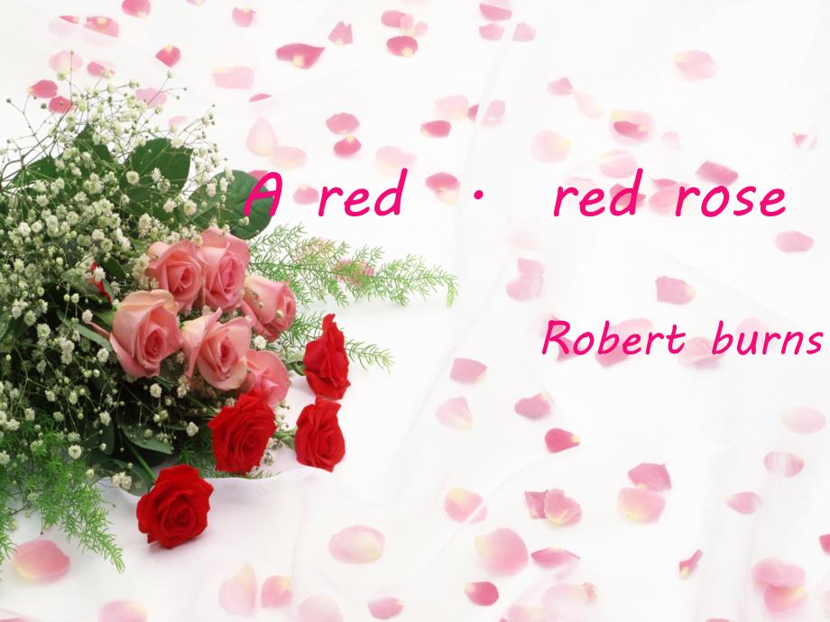 red red rose解析_第1页