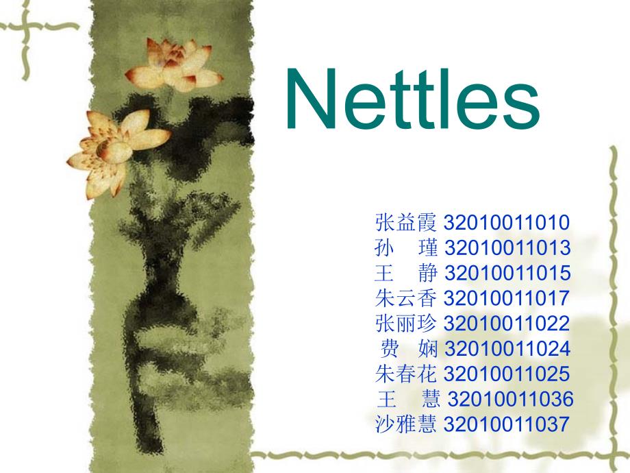 nettles解读_第1页