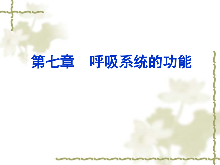 呼吸系统功能教学文稿_第1页