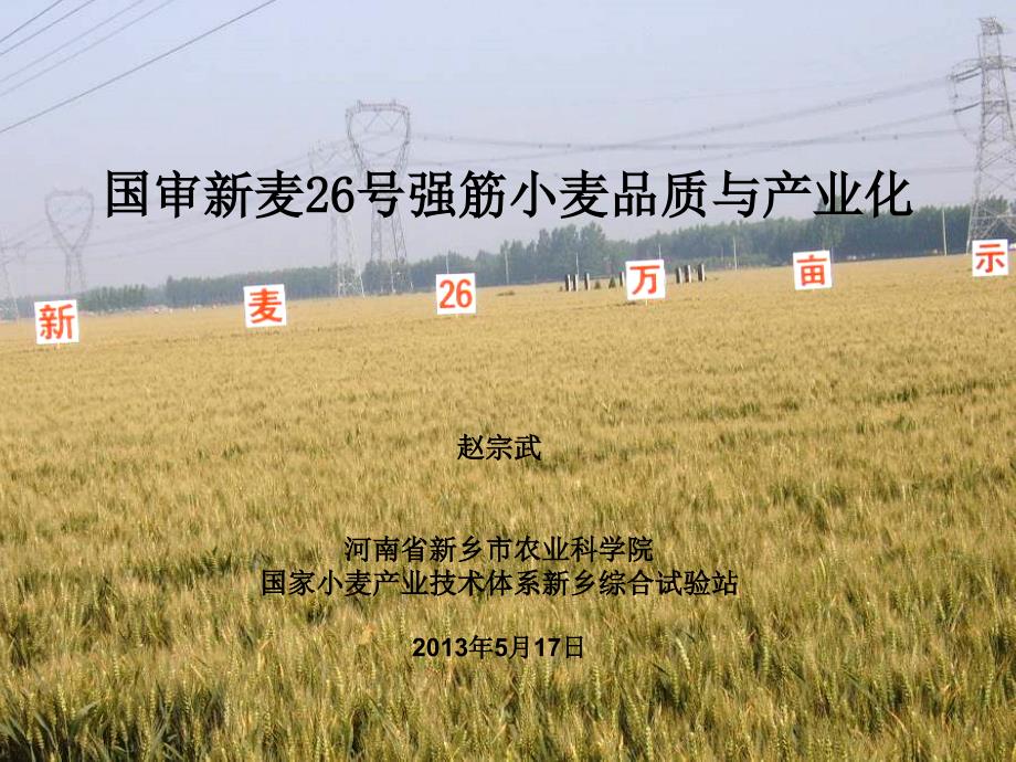 国审新麦26号强筋小麦品质与产业化p讲课教案_第1页