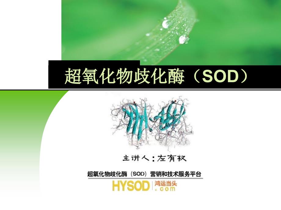 超氧化物歧化酶SOD专业知识1讲义教材_第1页