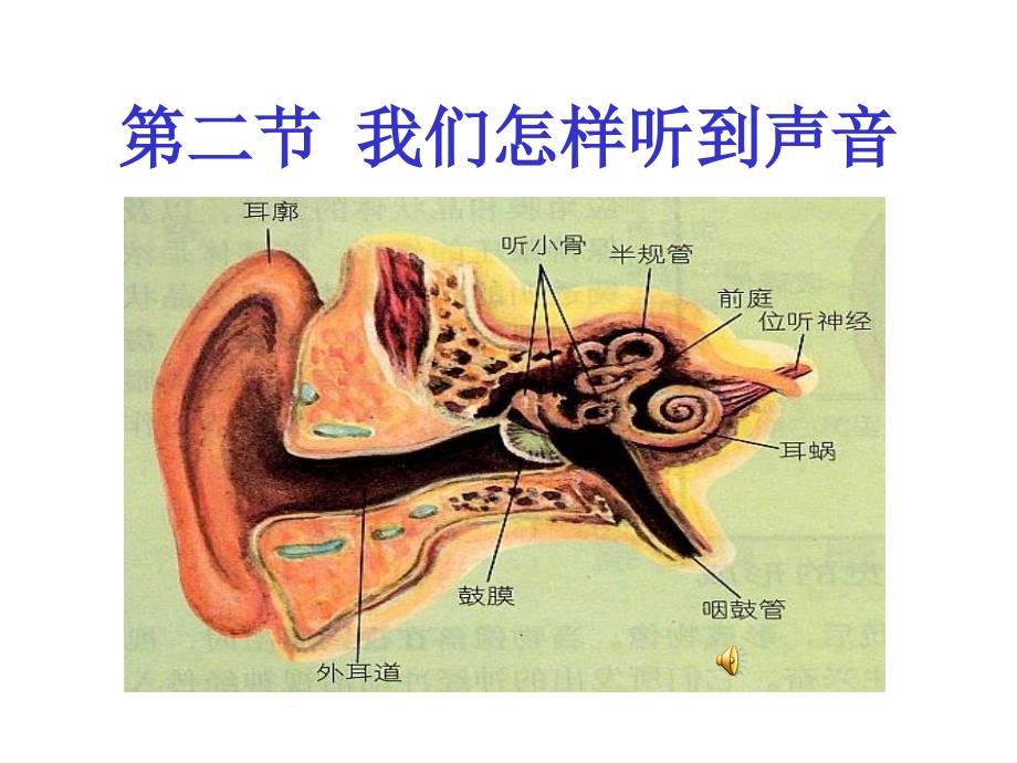 人教版八年级物理上册教学课件第二节我们怎样听到声音研究报告_第1页