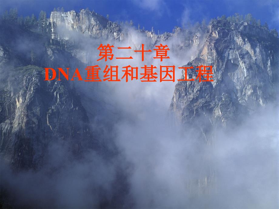 DNA重组和基因工程 上课讲义_第1页
