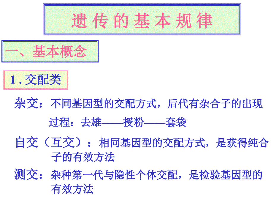 9遗传的基本规律_第1页