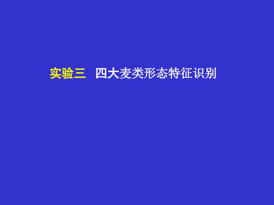 实验三四大麦类(小麦、大麦、黑麦、燕麦)讲解学习_第1页