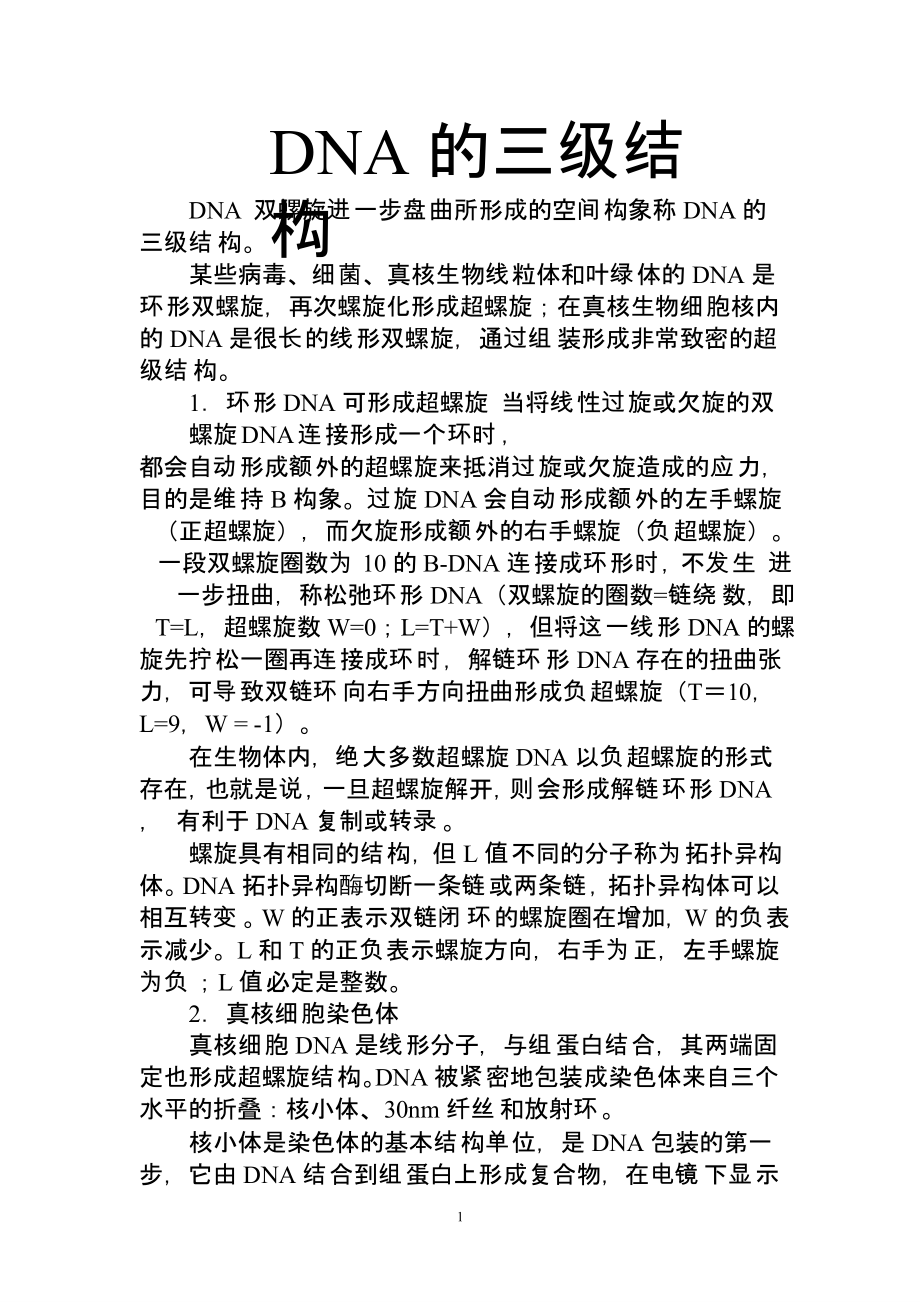 DNA的三级结构p教学教材_第1页