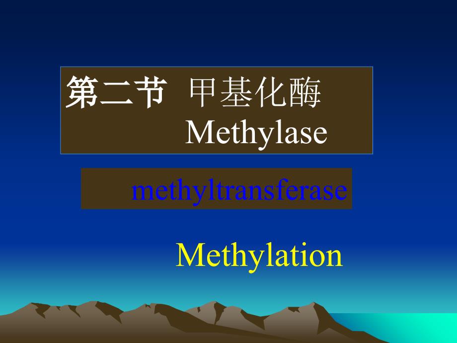 DNA甲基化酶Methylase 说课材料_第1页