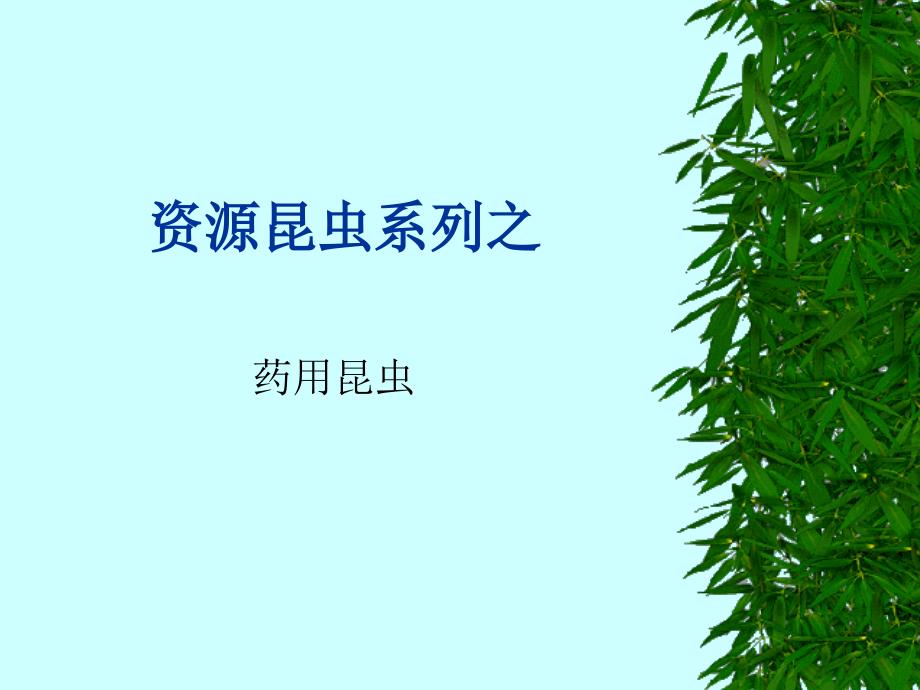 theriacal药用昆虫说课讲解_第1页