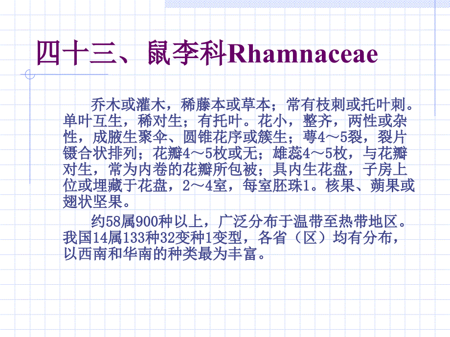 鼠李科Rhamnaceae讲课教案_第1页