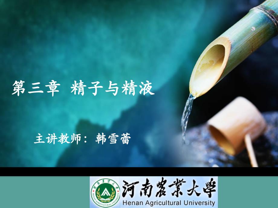 第三章-精子与精液ppt课件_第1页