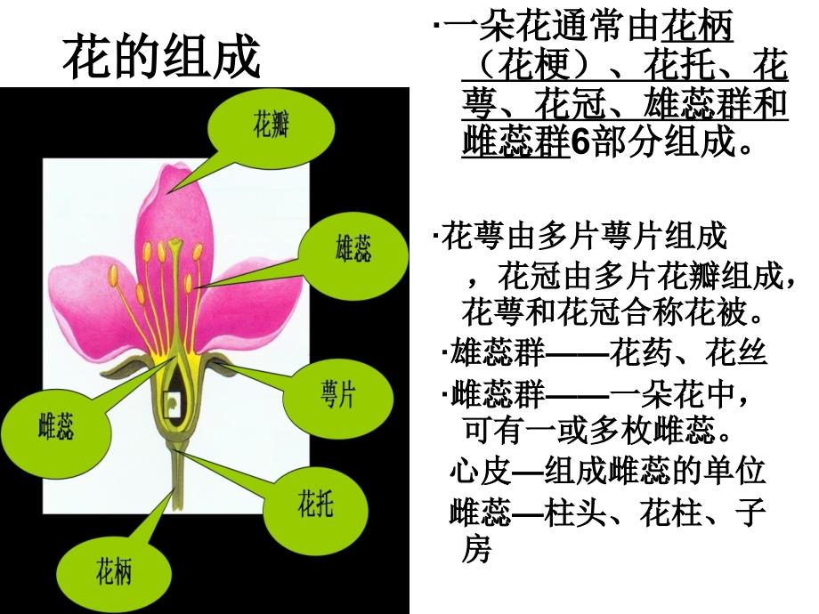 植物的繁殖2(00002)说课材料_第1页