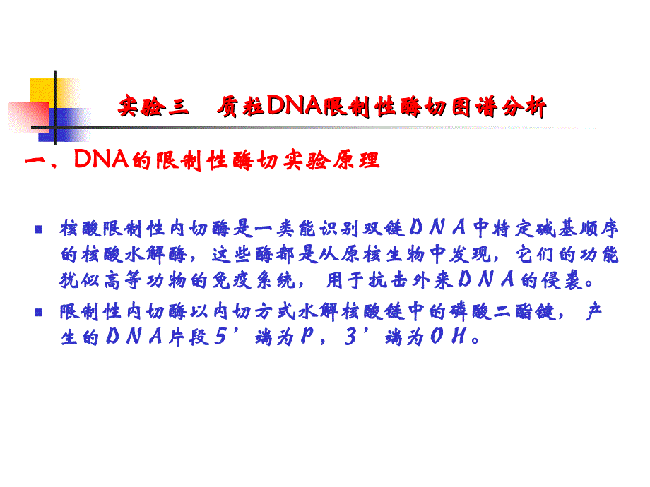 质粒DNA限制性酶切图谱分析教学教材_第1页